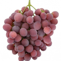 red-globe-grapes