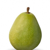 anjou-pear