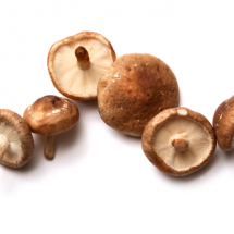 shiitake-mushroom-isp