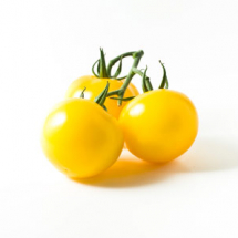 yellow-tomato