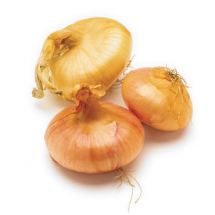 cipollini-onions