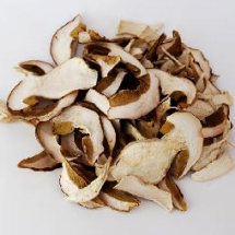 dried-porcini-mushroom