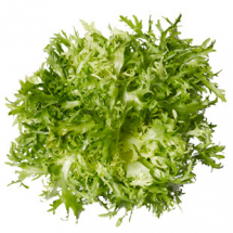 frisee-lettuce