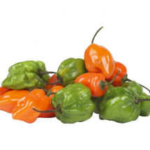 habanero-pepper