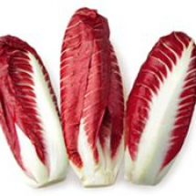 red-endive