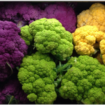 tri-color-cauliflower